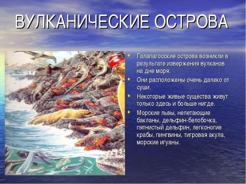 Презентация на тему "Моря. Загадки Подводного мира" по начальной школе