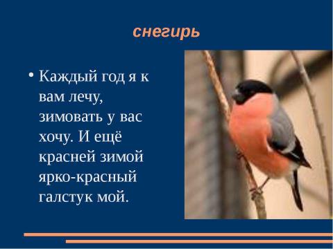 Презентация на тему "Птицы зимой" по начальной школе