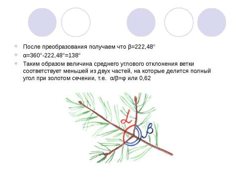 Презентация на тему "Золотое сечение и применение золотого сечения в жизни" по математике