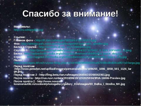 Презентация на тему "Белка и Стрелка первые космонавты" по астрономии