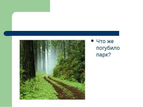 Презентация на тему "Стихи о природе" по литературе