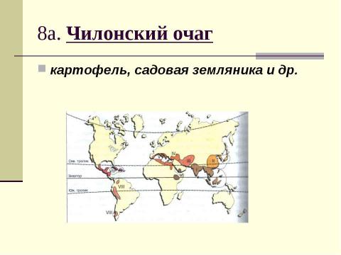 Презентация на тему "Центры происхождения культурных растений" по биологии