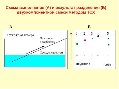 Презентация на тему "Адсорбционная хроматография. Жидкостная хроматография" по химии