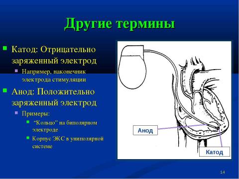 Презентация на тему "Теория электричества и кардиостимуляторы" по физике