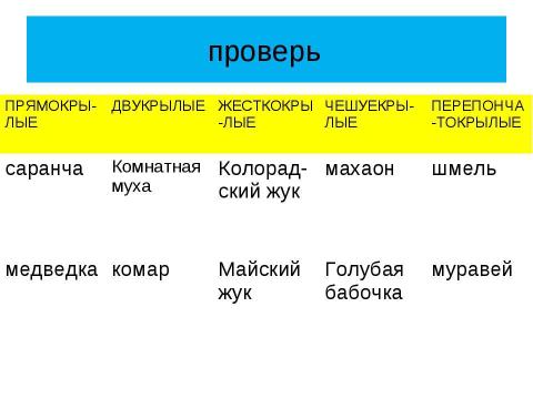 Презентация на тему "Насекомые - вредители сада" по биологии