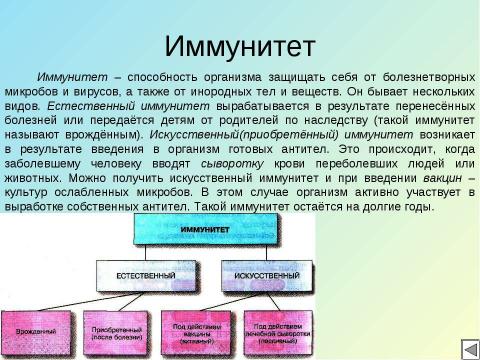 Презентация на тему "Кровь" по биологии