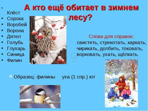 Презентация на тему "Урок - путешествие в зимний лес" по русскому языку