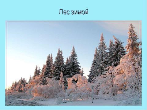 Презентация на тему "Подготовка к сочинению – описанию природы «Зимний пейзаж»" по литературе