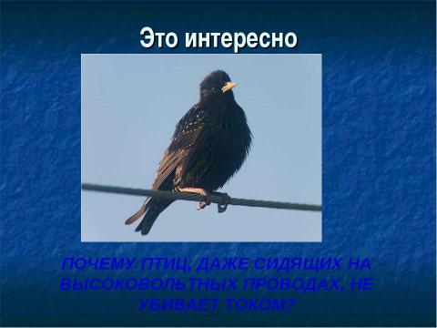 Презентация на тему "Зависимость силы тока от напряжения. Электрическое сопротивление проводников" по физике