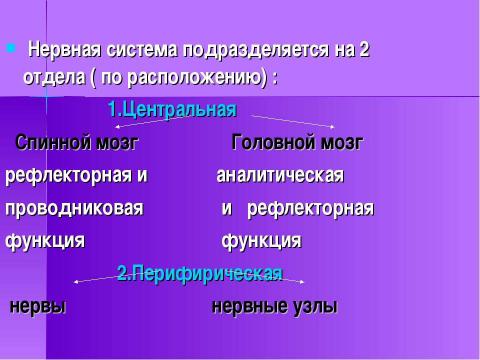 Презентация на тему "Строение и функции нервной системы" по биологии