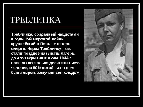 Презентация на тему "Концентрационные лагеря Третьего Рейха" по истории