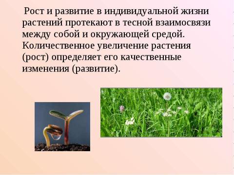 Презентация на тему "Рост и развитие растительного организма" по биологии