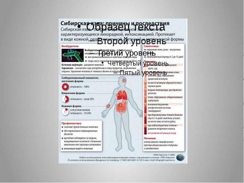 Презентация на тему "Сибирская язва" по медицине