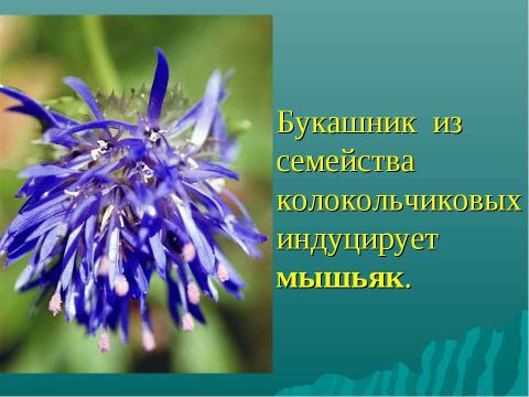 Презентация на тему "Растения-индикаторы полезных ископаемых" по биологии