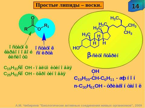 Презентация на тему "Биологически активные соединения живых организмов" по биологии