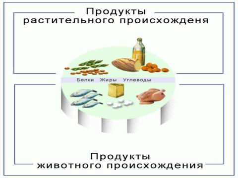 Презентация на тему "Пищевые продукты, питательные вещества и их превращения в организме" по биологии