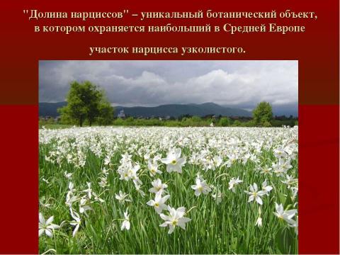 Презентация на тему "Заповедные места Украины. Карпатский биосферный заповедник" по географии