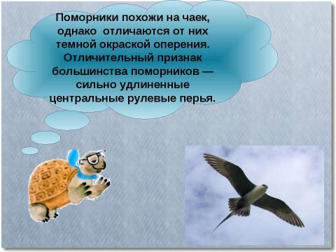 Презентация на тему "Где живут белые Медведи?" по начальной школе