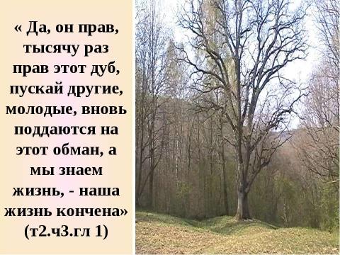 Презентация на тему "Поиск плодотворной общественной жизни П.Безухова и А. Болконского" по литературе