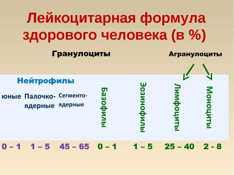 Презентация на тему "Кровь: состав и значение" по биологии