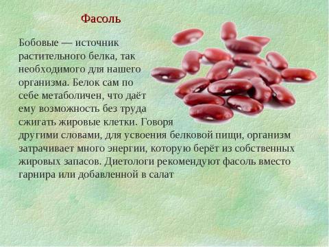 Презентация на тему "Продукты, регулирующие обмен веществ и сжигающие жир" по биологии