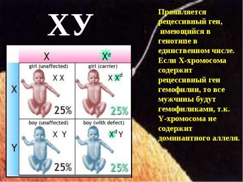 Презентация на тему "Генетика пола. Наследование, сцепленное с полом" по биологии