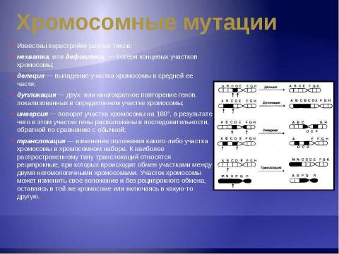 Презентация на тему "Изменчивость. Мутации" по биологии