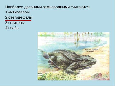 Презентация на тему "Земноводные" по биологии