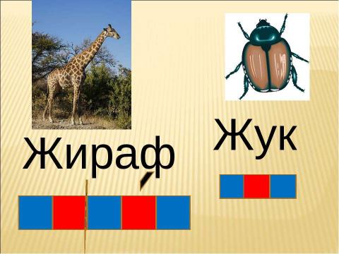 Презентация на тему "Звук [ж] буквы «Ж,ж». Строчная и заглавная буква «Ж,Ж" по русскому языку