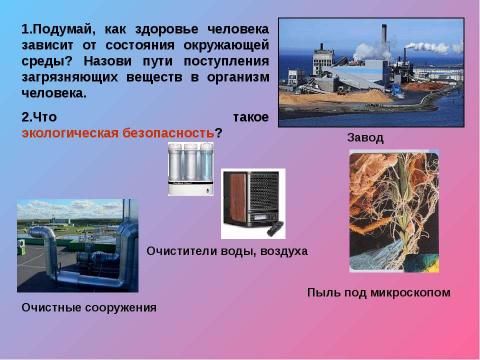 Презентация на тему "экологическая безопасность" по экологии