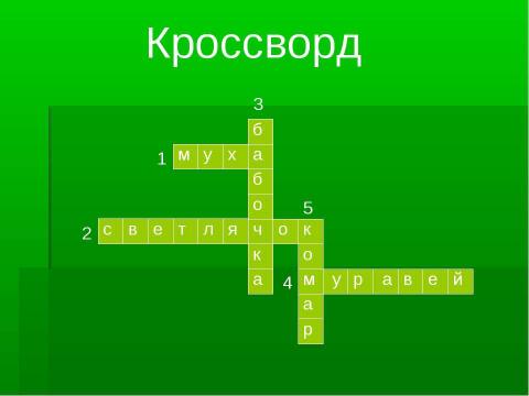 Презентация на тему "Кто такие насекомые?" по биологии