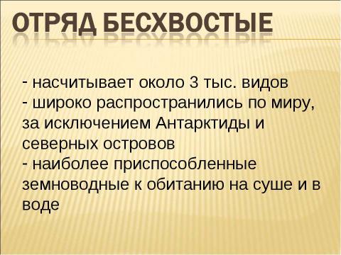Презентация на тему "Тип хордовые подтип позвоночные класс земноводные" по биологии