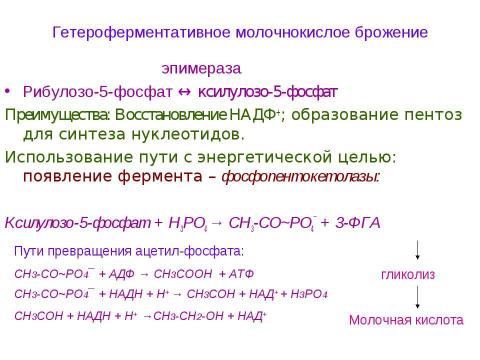 Презентация на тему "Брожения. Типы жизни, основанные на субстратном фосфорилировании" по биологии