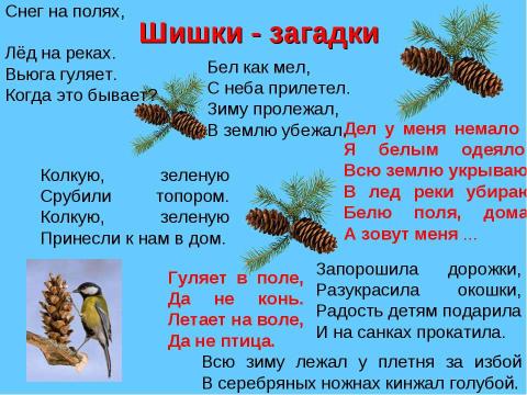 Презентация на тему "Урок - путешествие в зимний лес" по русскому языку