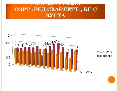 Презентация на тему "Использование кербовки для повышения урожая картофеля" по биологии