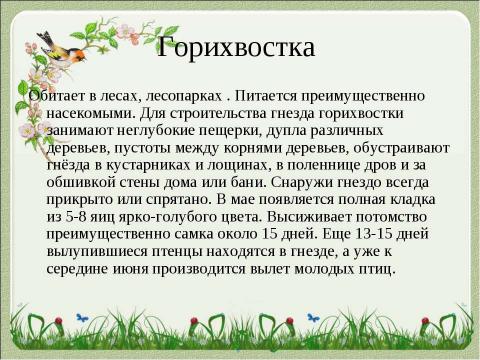 Презентация на тему "Летят перелётные птицы" по начальной школе