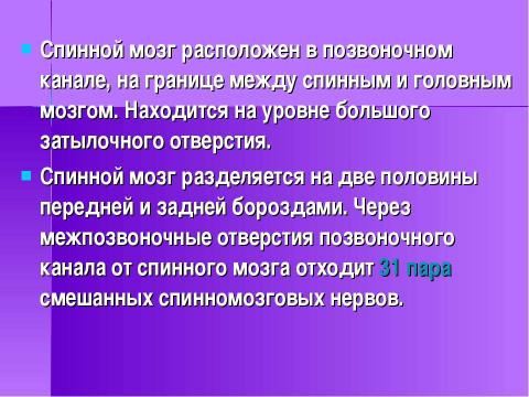 Презентация на тему "Строение и функции нервной системы" по биологии