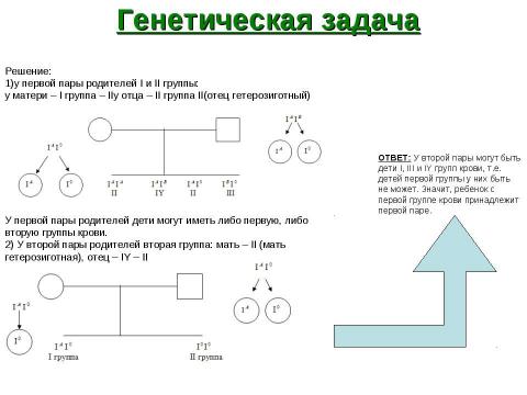 Презентация на тему "Тайная мудрость организма" по биологии