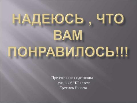 Презентация на тему "Писатели России" по литературе