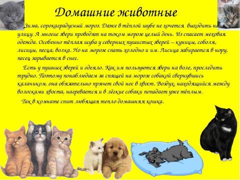 Презентация на тему "Зачем животным нужны хвосты? 5 класс" по окружающему миру