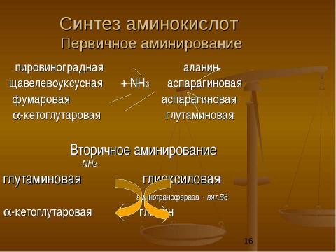 Презентация на тему "Физиологические основы применения азотных удобрений" по биологии