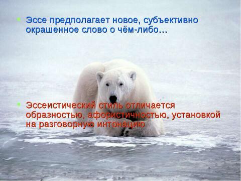 Презентация на тему "Эссе как жанр литературного произведения" по литературе