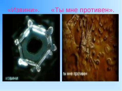 Презентация на тему "Структура живой воды 4 класс" по окружающему миру