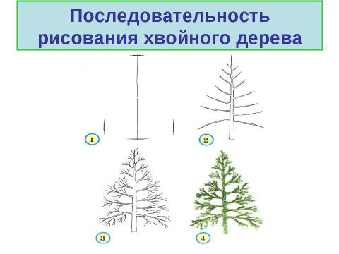 Презентация на тему "Рисование по представлению. Осенние деревья" по МХК