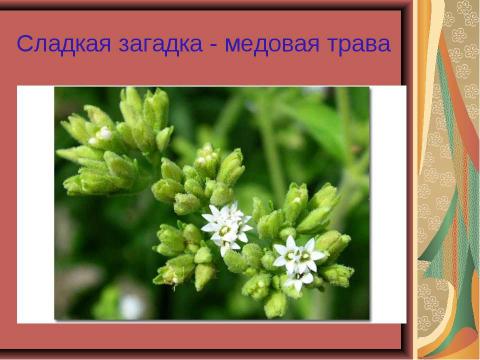 Презентация на тему "Открытие Нового Света. Америка" по начальной школе