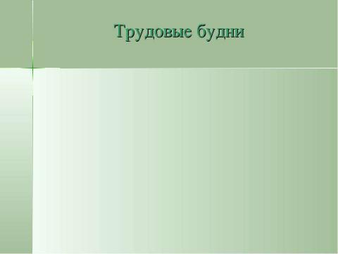 Презентация на тему "Учебно-опытническая работа на пришкольном участке" по педагогике