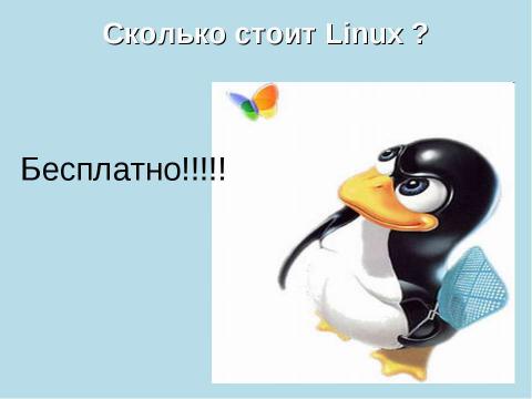 Презентация на тему "Возможности операционной системы Linux в учебном процессе" по информатике