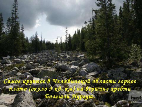 Презентация на тему "Горное сердце края" по географии