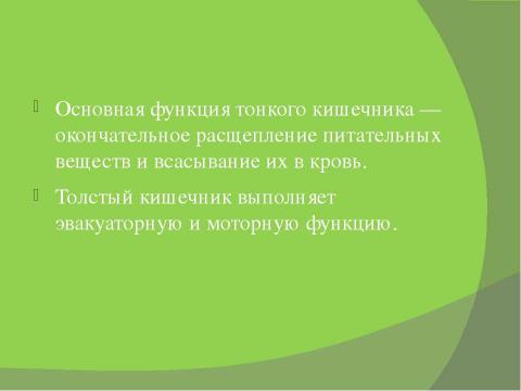 Презентация на тему "Пищеварение" по биологии