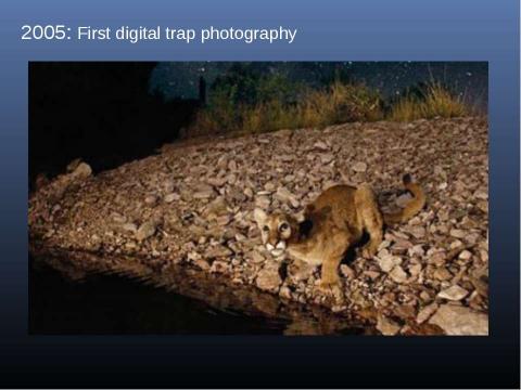 Презентация на тему "Photography in society" по английскому языку